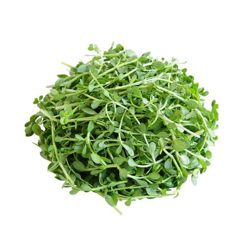 Bacopa_Ingrediente_Activo_MIpelazo